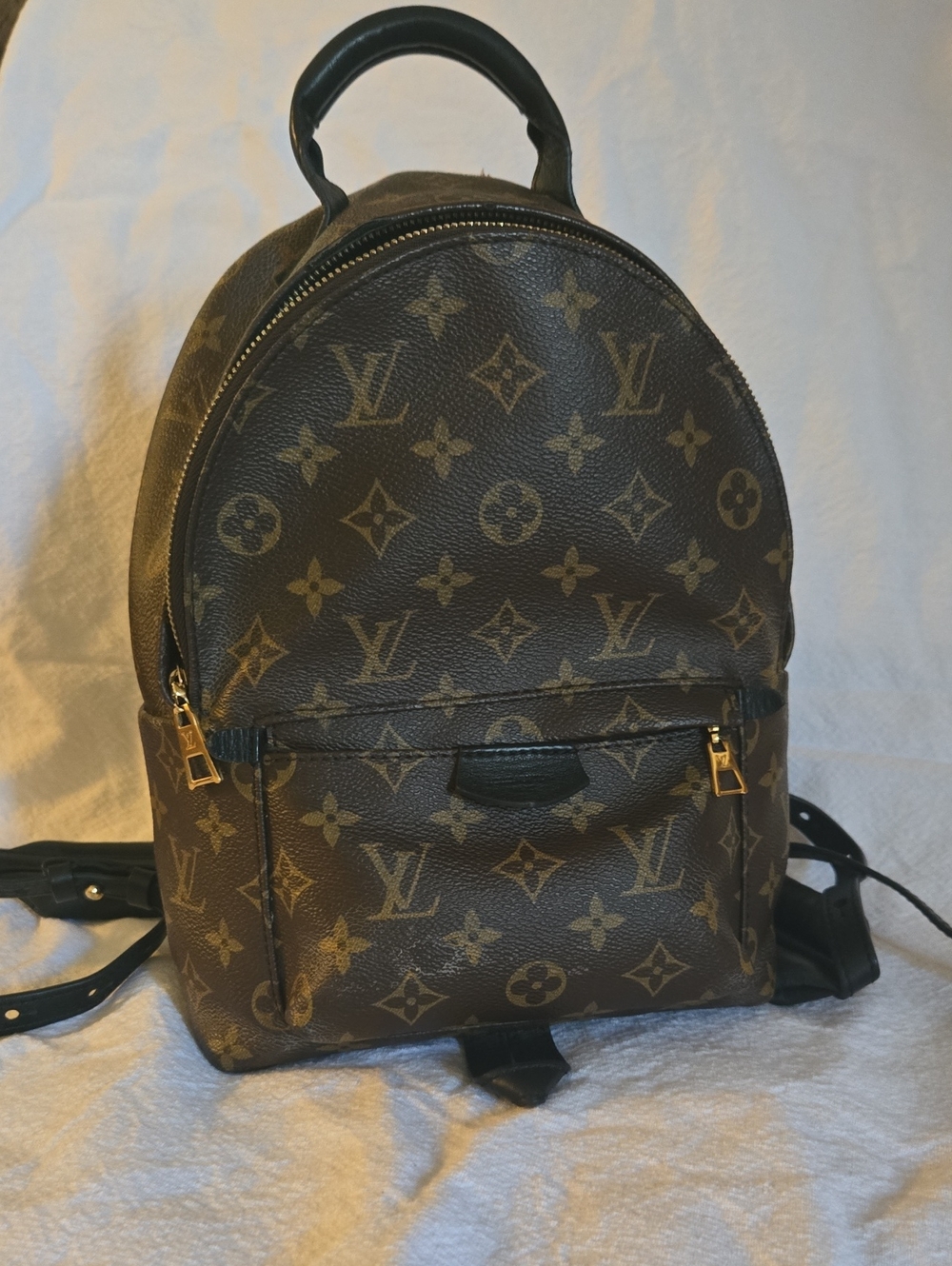 🔥🔥🔥Authentic Louis Vuitton Monogram Palm Springs Backpack PM